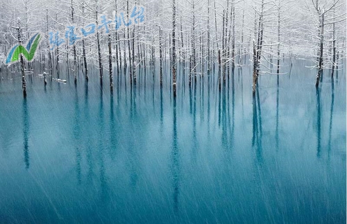 张家口新闻联播12月15日,张家口新闻报道频道