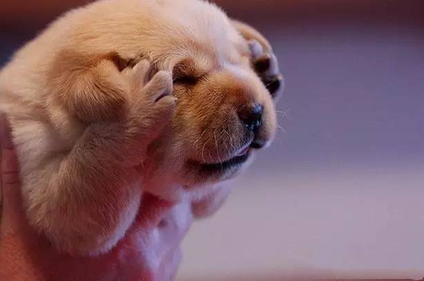 低落伤感的歌曲,低落时候励志歌曲