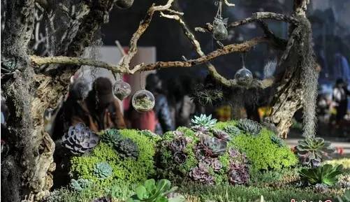 深圳到昆明三个小时,目前从深圳到昆明