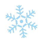 平泉现濒危豹猫咬死百余只鸡、太平庄一路段将断交······12.21承德新闻集萃！