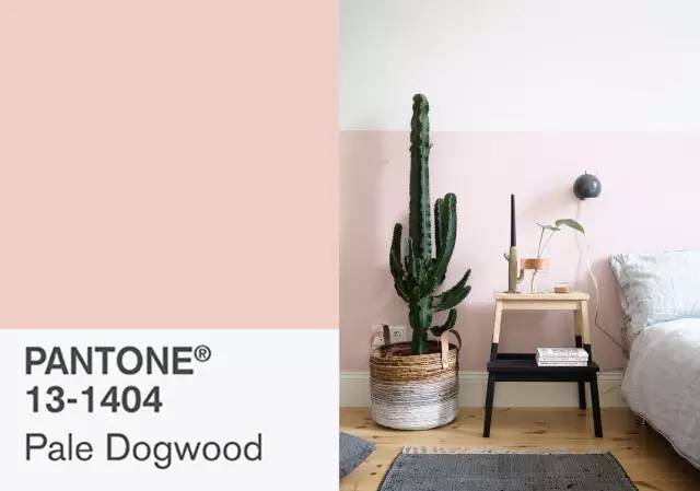 pantone公布2024年度代表色,pantone最新流行色紫外光