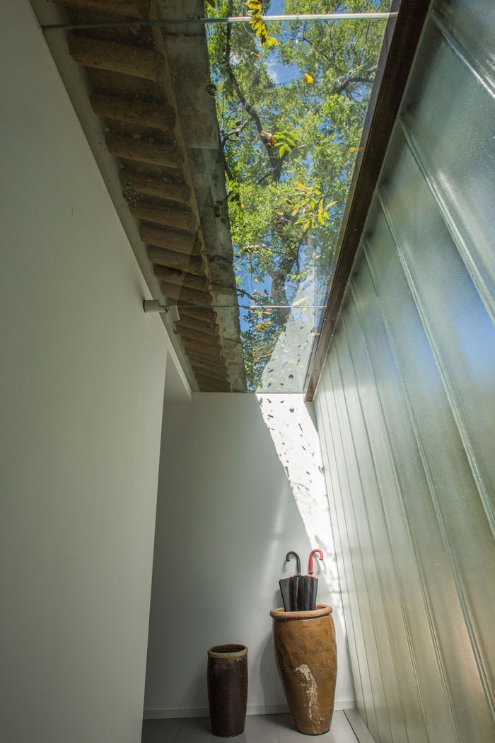 人物｜陈长春：我想把关于“农”的全部理想装进这些院子