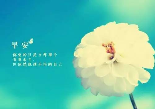 微商早安励志朋友圈高质量句子,微商早安励志语录正能量句子