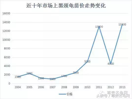 各种乌龟的详细介绍,你们见过的四种乌龟