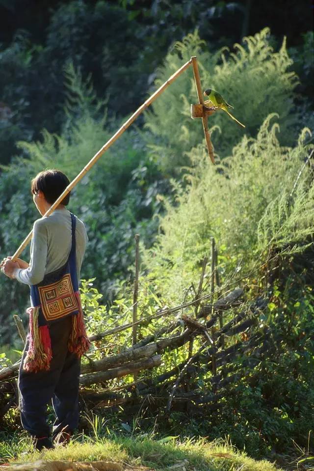 记一位走过云南每片土地的人文地理摄影师