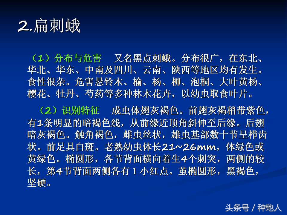 会吃叶子的虫子有哪些,哪些虫子爱吃树叶虫