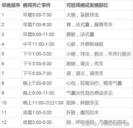 养鸡用药浓度怎样算,养鸡用药有规律