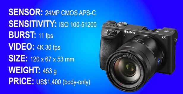 目前最好的全画幅微单相机排名,佳能无反相机与索尼微单怎么选择