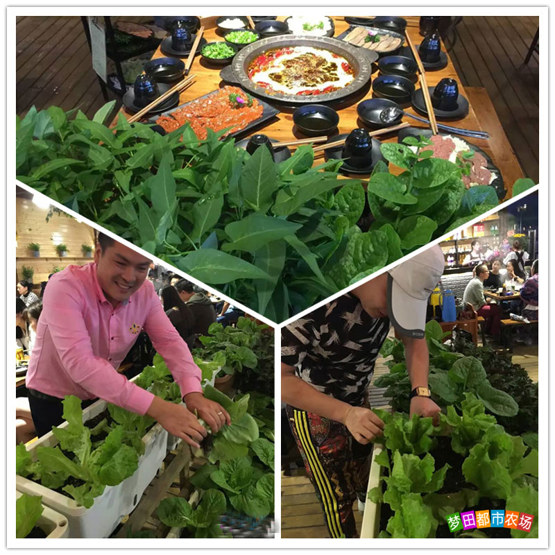 公司年会适合去的地方,公司年会去哪好