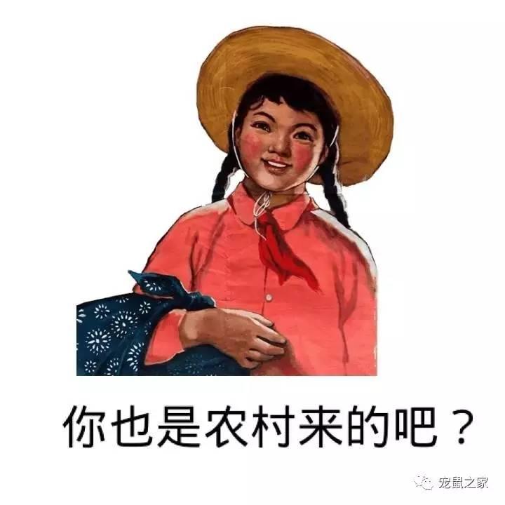 缇庨澶╀笅鍏荤敓澶у笀,缇庨澶╀笅棣欑尓