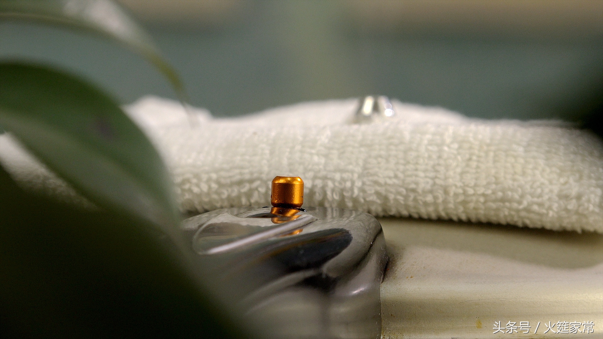 老鸭百合汤怎么做,什么和老鸭一起煲汤好喝