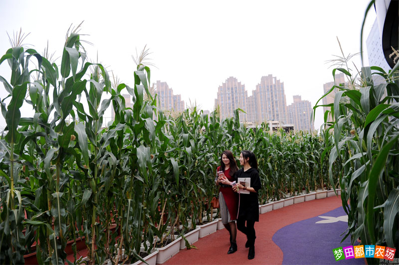 公司年会适合去的地方,公司年会去哪好