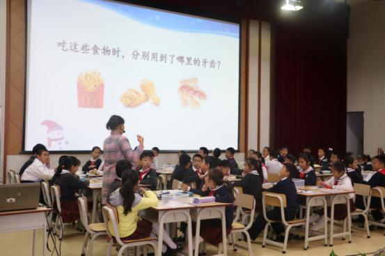 三年级科学练习手册19课,三年级综合实践活动指导手册