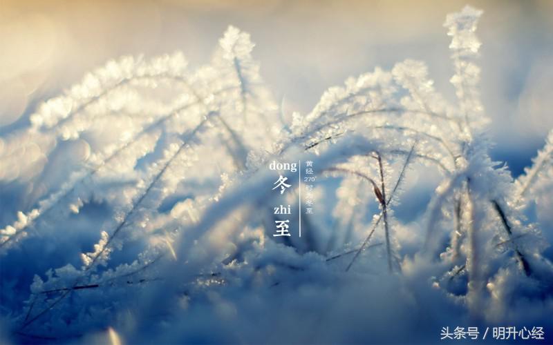 冬至北方饺子南方汤圆的习俗,冬至吃饺子全国美食风俗