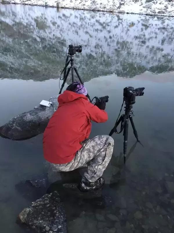 投稿｜为什么摄影师被盗图就集体炸毛？