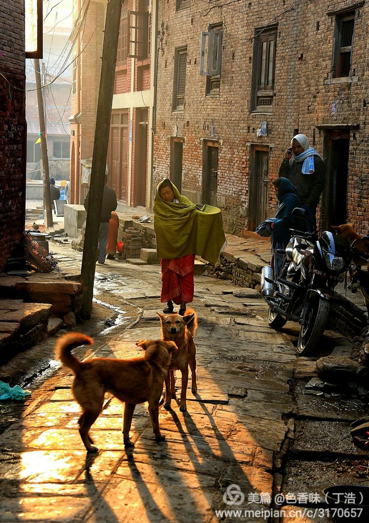 探秘尼泊尔牧羊人,探秘尼泊尔国家森林公园