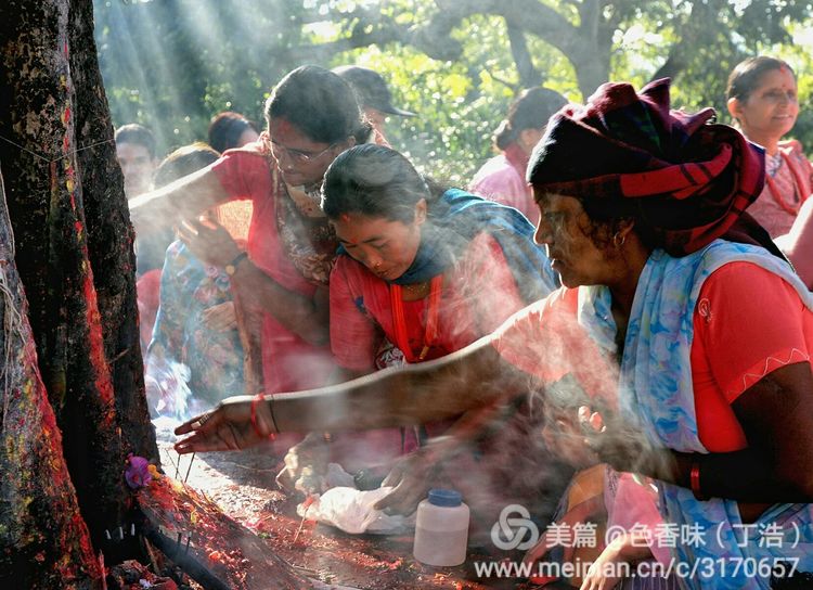 探秘尼泊尔牧羊人,探秘尼泊尔国家森林公园