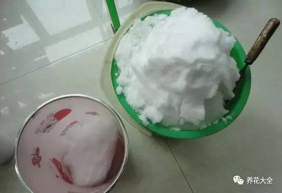 雪水、食盐、白糖、维生素，能让花枝繁叶茂，你信不信？