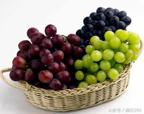 老年人吃红提有什么好处,吃红提的正确吃法