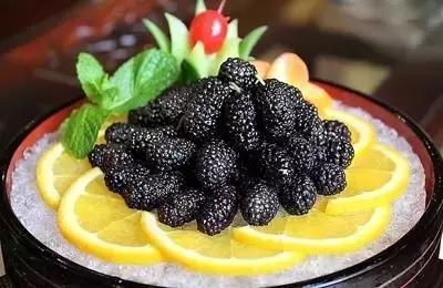 桑树全身上下可入药,桑树哪些部位可以入药及功效