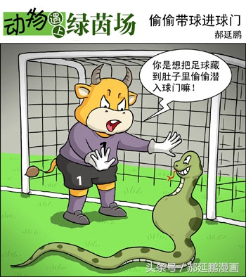 爆笑动物足球赛视频,动物足球大赛搞笑漫画