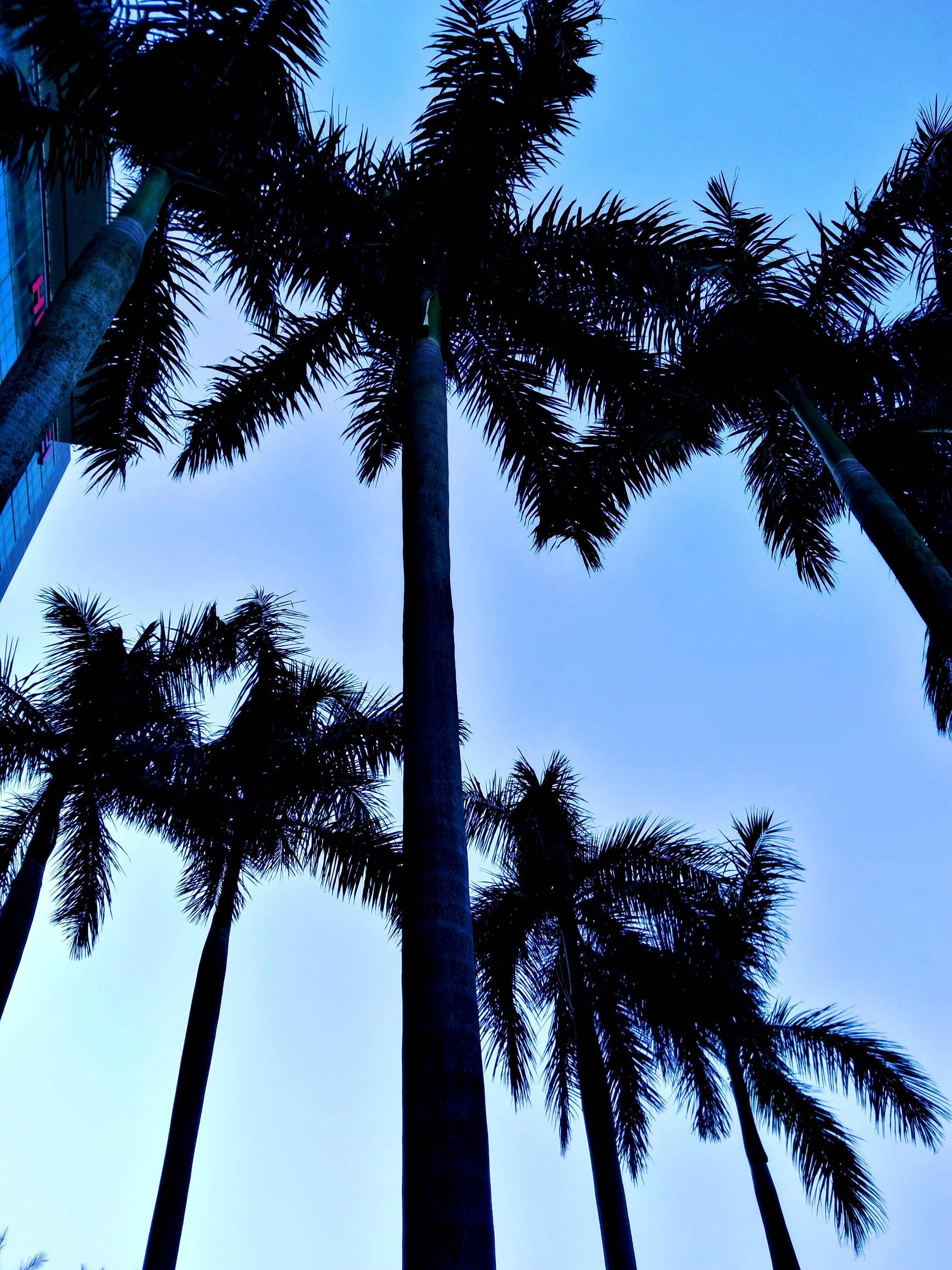 华为畅享6s的像素怎么样,华为畅享6拍照效果怎么样