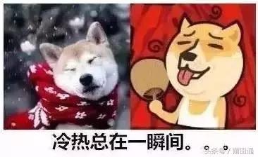 寒潮来袭莆田天气,莆田断崖式降温来袭