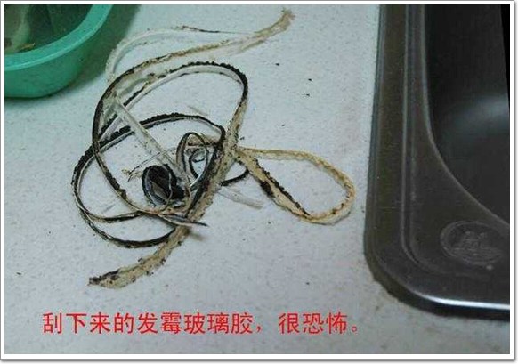 水槽胶条发霉变黑,水槽发霉清理方法有哪些