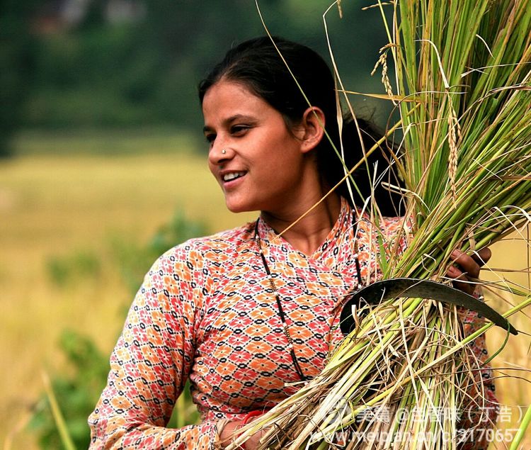 探秘尼泊尔牧羊人,探秘尼泊尔国家森林公园