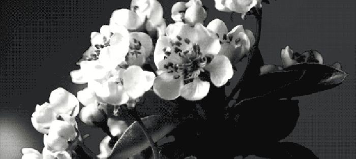 他被纳粹*害迫**，“玩拼图”玩出诺贝尔奖，打脸《Nature》