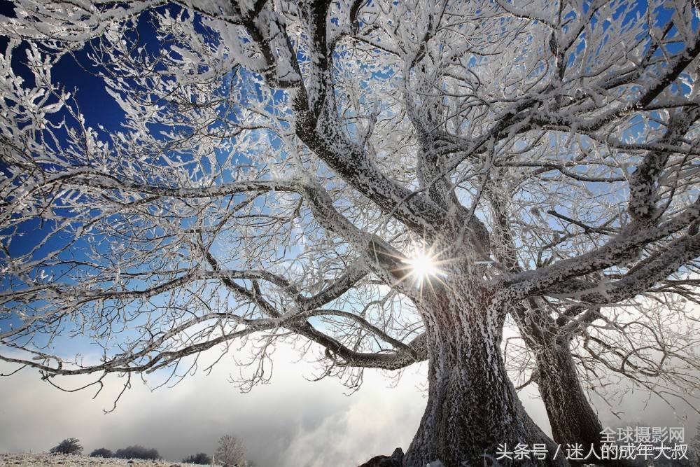 这些冷知识让你涨姿势,超实用的冷知识你知道几个