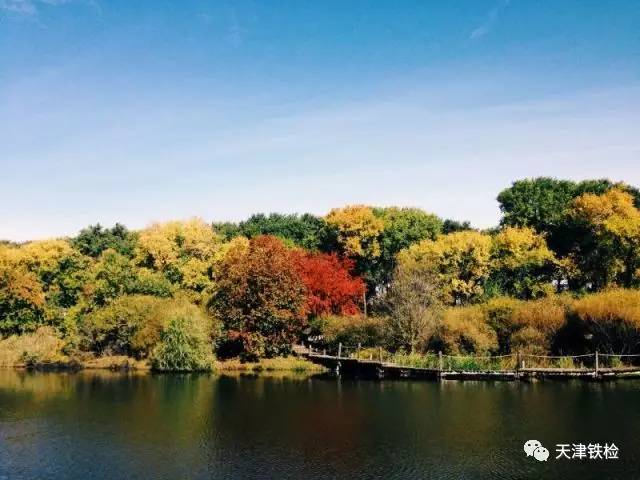 鍜岃皭鑷劧鎽勫奖浣滃搧娆ｈ祻,鍜岃皭鑷劧鎽勫奖浣滃搧