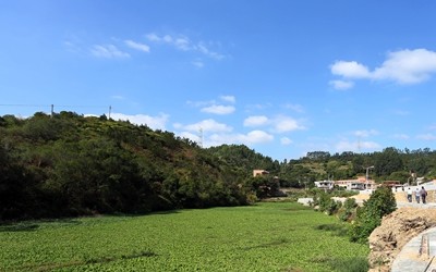 沙埕大白鹭村,福建沙埕镇小白鹭村沙滩