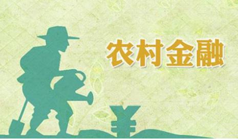 大麦理财助力三农，布局农村金融市场