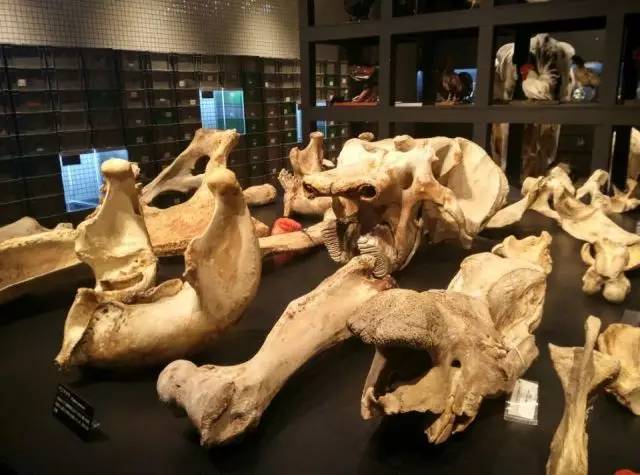 瞧，教育导报记者镜头下的2016！