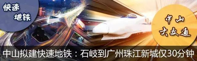 中山南区摘草莓,吐血整顿10城33个市集