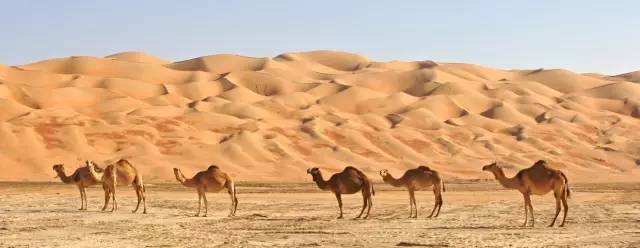 这几个国家太诱惑，直飞、免签、路边就能吃到米其林、国家公园免费一整年，是时候策划一场明年的旅行了！