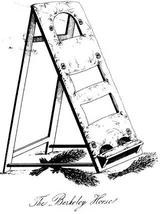 维多利亚时期的施虐女王与SP机