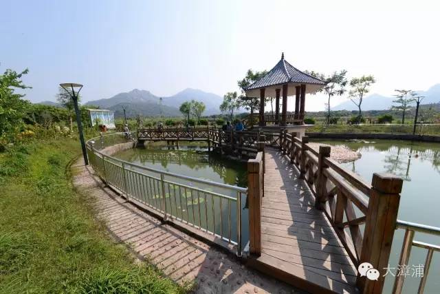 沙埕大白鹭村,福建沙埕镇小白鹭村沙滩