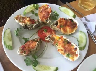 越南越美芽庄,越美芽庄是什么