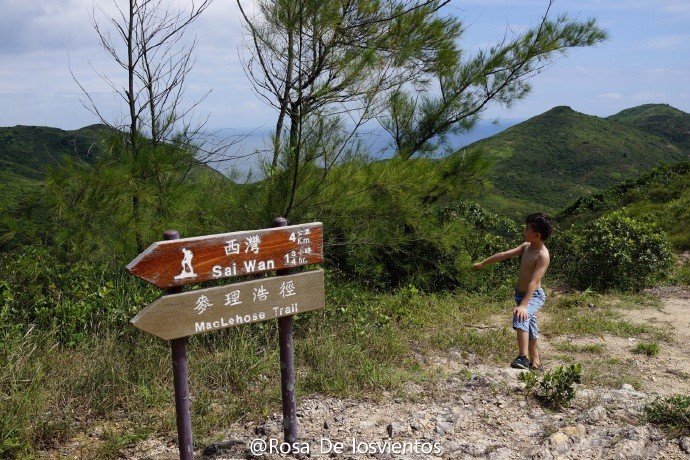 边吃边走的美食推荐,香港5日美食之旅搜罗各种美食