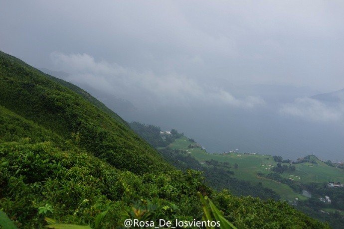 边吃边走的美食推荐,香港5日美食之旅搜罗各种美食
