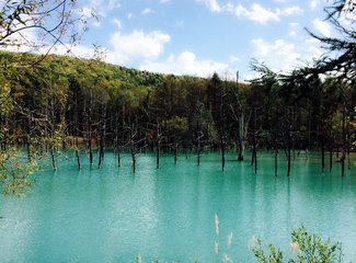 2015年国庆节从名古屋到札幌（F1铃鹿，池袋J-WORLD,东北盛冈，函馆夜景，青池，遗憾的富良野）
