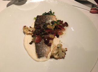 CelebrityMillenium精致千禧邮轮体验之旅