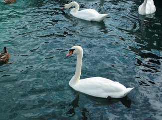 记忆里的那一抹蓝作文,记忆中的那一抹蓝色