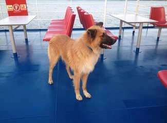 记忆里的那一抹蓝作文,记忆中的那一抹蓝色