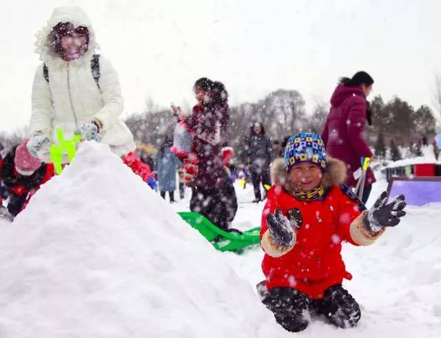回望2016，原来我大长春这么牛