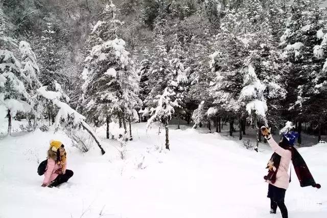 自由行去哪个滑雪场方便,松花湖滑雪一日游最佳攻略