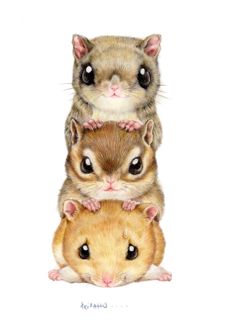 由简到繁绘画教程,由繁到简绘画四幅图