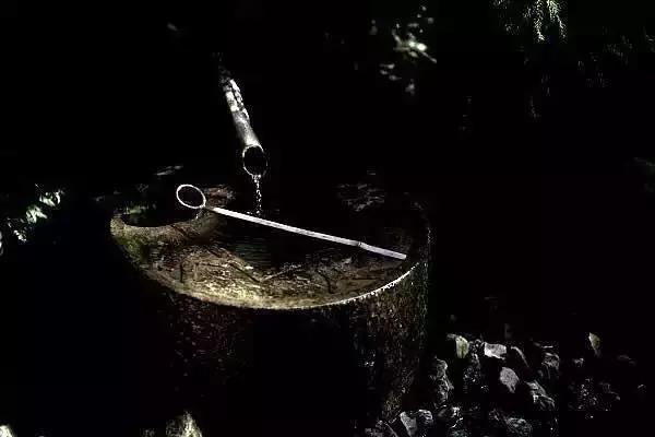 任尔东西南北风全诗隶书作品,任尔东西南北风上一句是啥